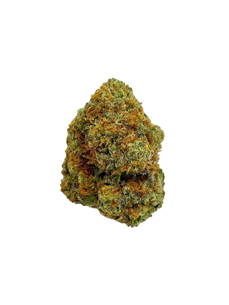GMO X G41