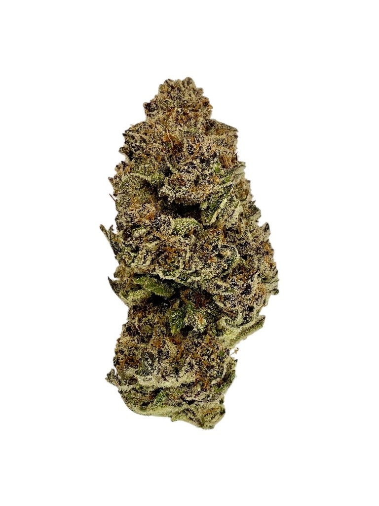 Royal Gorilla