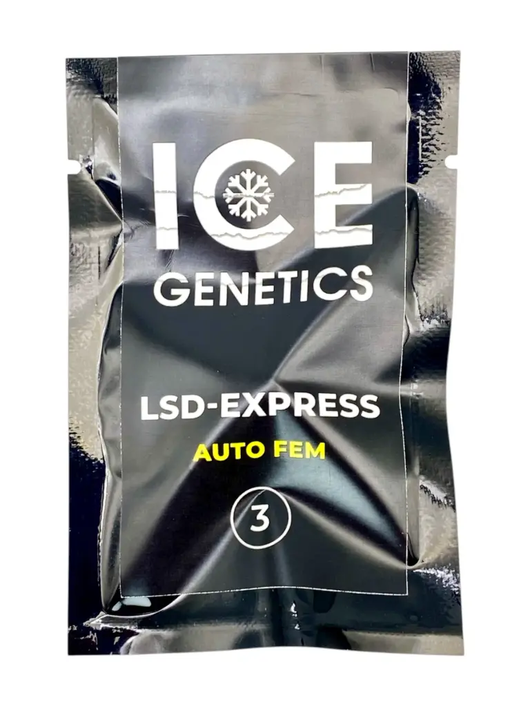 LSD - Express
