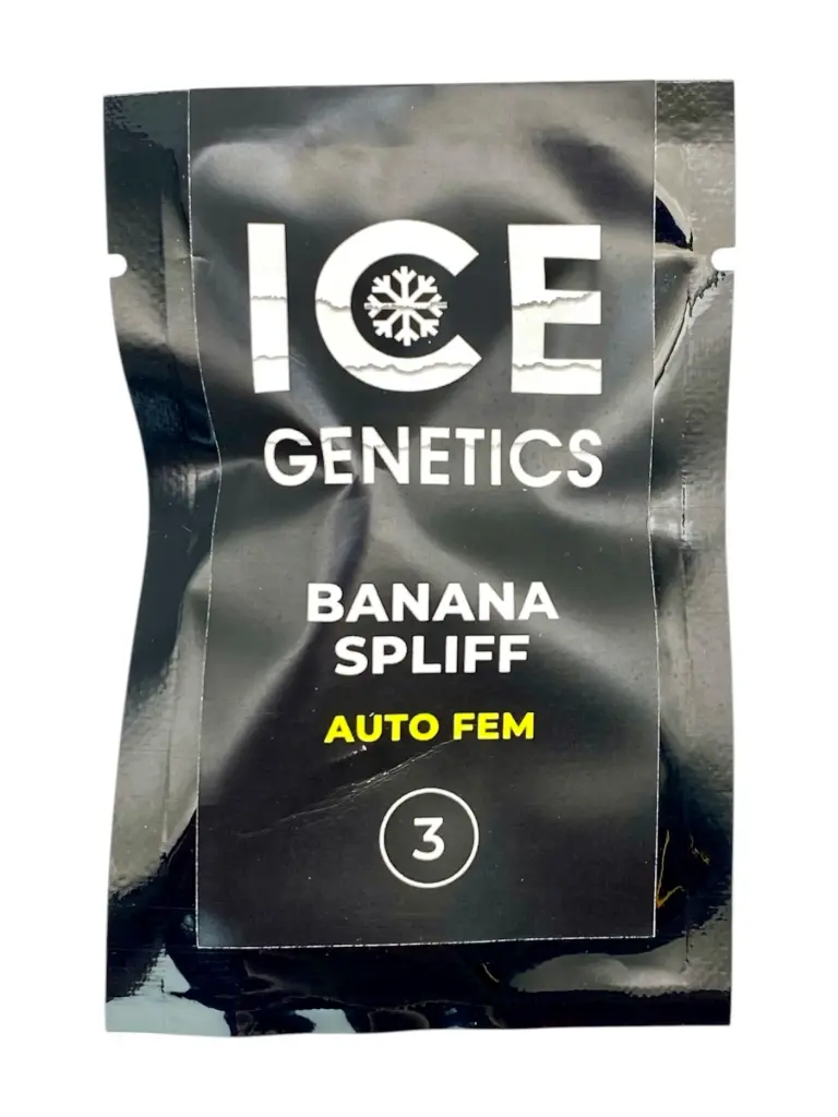 Banana Spliff